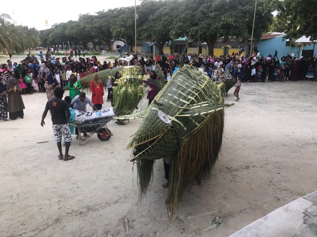 Bodu Mas erun is the most enjoyable and historical activity in Addu City